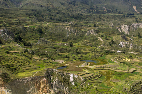 pre-inka terraces