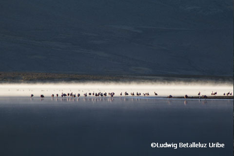 Mucurca Lagoon