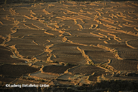 1 day tour Colca Canyon