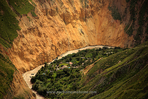 Full day trip Colca Canyon