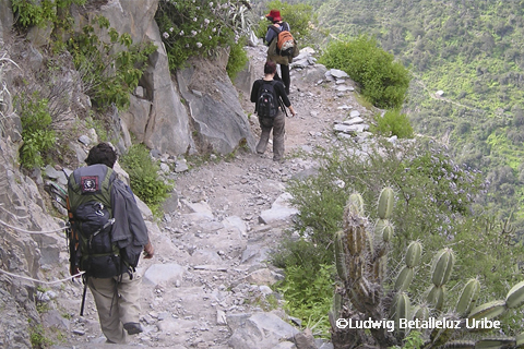 classic Trek Colca