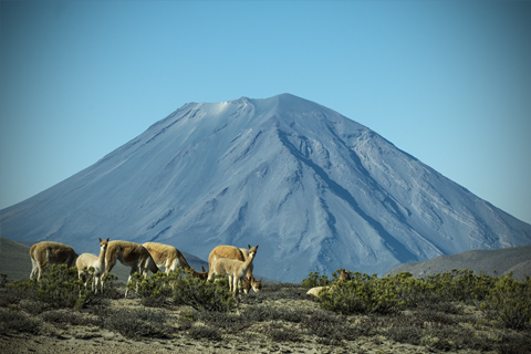 National Reserve of Salinas and Aguada Blanca